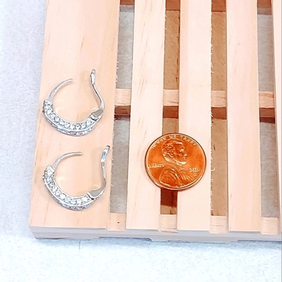 CUBIC ZIRCONIA SPARKLE HOOP STAINLESS STEEL EARRINGS - Picture 5 of 7